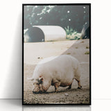 Farmhouse Wall Art - Rustic Pig on Farm with Vintage Country Charm