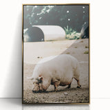 Farmhouse Wall Art - Rustic Pig on Farm with Vintage Country Charm