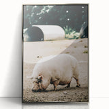 Farmhouse Wall Art - Rustic Pig on Farm with Vintage Country Charm