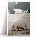 Farmhouse Wall Art - Rustic Pig on Farm with Vintage Country Charm