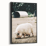 Farmhouse Wall Art - Rustic Pig on Farm with Vintage Country Charm