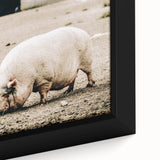 Farmhouse Wall Art - Rustic Pig on Farm with Vintage Country Charm