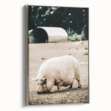 Farmhouse Wall Art - Rustic Pig on Farm with Vintage Country Charm