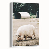 Farmhouse Wall Art - Rustic Pig on Farm with Vintage Country Charm