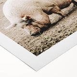 Farmhouse Wall Art - Rustic Pig on Farm with Vintage Country Charm