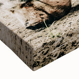Farmhouse Wall Art - Rustic Pig on Farm with Vintage Country Charm