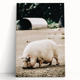 Farmhouse Wall Art - Rustic Pig on Farm with Vintage Country Charm