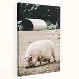 Farmhouse Wall Art - Rustic Pig on Farm with Vintage Country Charm