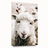 Farmhouse Wall Art - Adorable Sheep Close-Up with Rustic Farm Charm