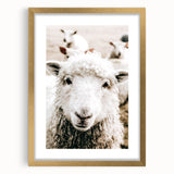 Farmhouse Wall Art - Adorable Sheep Close-Up with Rustic Farm Charm