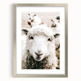 Farmhouse Wall Art - Adorable Sheep Close-Up with Rustic Farm Charm