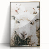 Farmhouse Wall Art - Adorable Sheep Close-Up with Rustic Farm Charm
