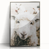 Farmhouse Wall Art - Adorable Sheep Close-Up with Rustic Farm Charm