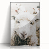 Farmhouse Wall Art - Adorable Sheep Close-Up with Rustic Farm Charm