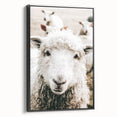 Farmhouse Wall Art - Adorable Sheep Close-Up with Rustic Farm Charm