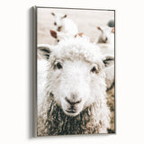 Farmhouse Wall Art - Adorable Sheep Close-Up with Rustic Farm Charm