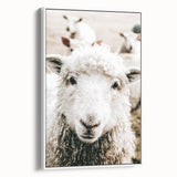 Farmhouse Wall Art - Adorable Sheep Close-Up with Rustic Farm Charm