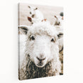 Farmhouse Wall Art - Adorable Sheep Close-Up with Rustic Farm Charm