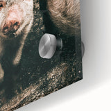 Farmhouse Wall Art - Cute Piglet Close-Up with Rustic Farmhouse Charm