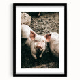 Farmhouse Wall Art - Cute Piglet Close-Up with Rustic Farmhouse Charm