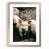 Farmhouse Wall Art - Cute Piglet Close-Up with Rustic Farmhouse Charm