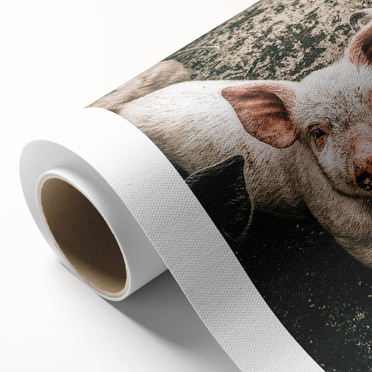 Farmhouse Wall Art - Cute Piglet Close-Up with Rustic Farmhouse Charm