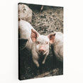 Farmhouse Wall Art - Cute Piglet Close-Up with Rustic Farmhouse Charm