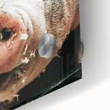 Farmhouse Wall Art - Playful Pig Close-Up with Rustic Farmhouse Charm