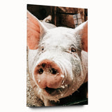Farmhouse Wall Art - Playful Pig Close-Up with Rustic Farmhouse Charm