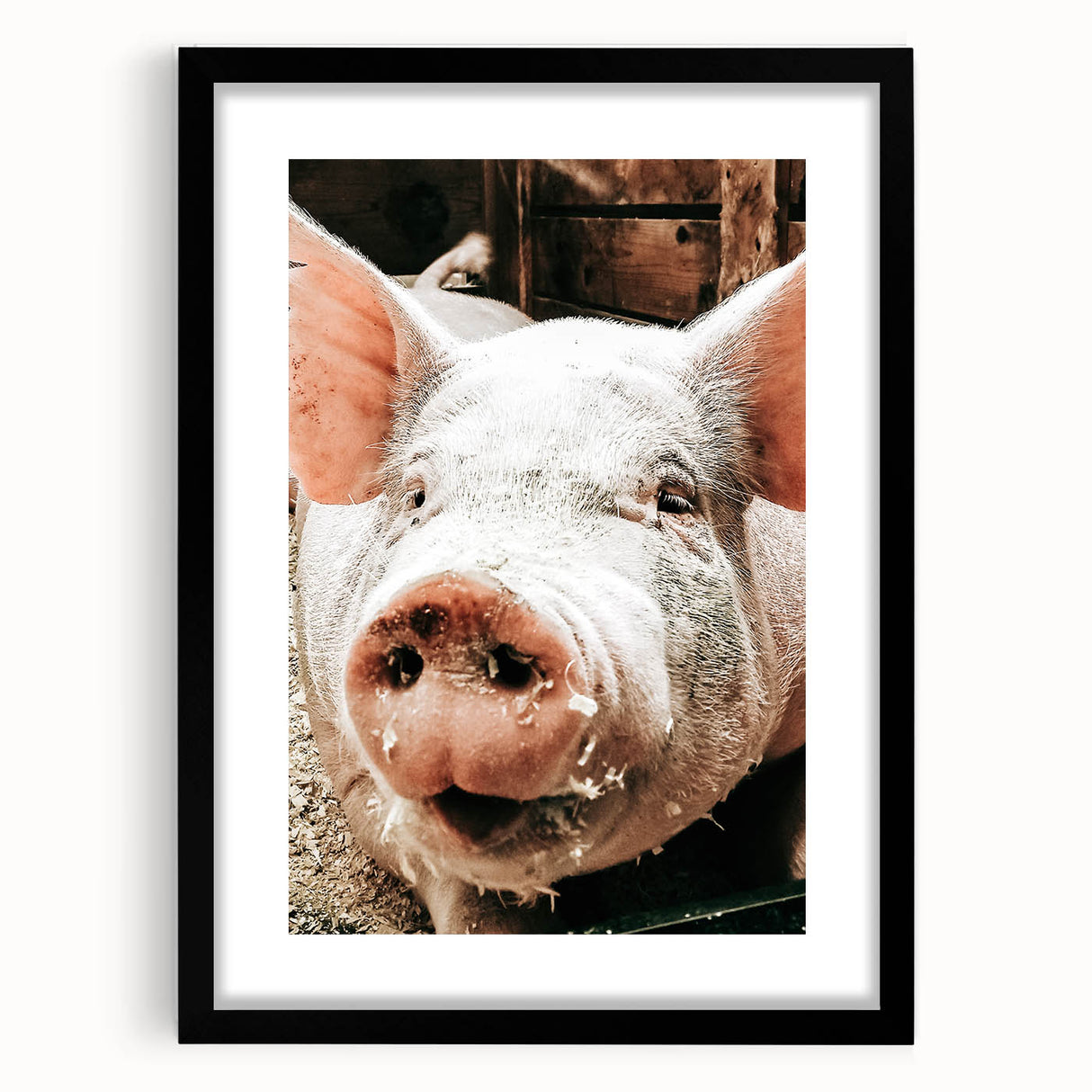 Farmhouse Wall Art - Playful Pig Close-Up with Rustic Farmhouse Charm