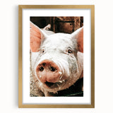Farmhouse Wall Art - Playful Pig Close-Up with Rustic Farmhouse Charm