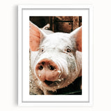 Farmhouse Wall Art - Playful Pig Close-Up with Rustic Farmhouse Charm