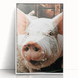 Farmhouse Wall Art - Playful Pig Close-Up with Rustic Farmhouse Charm
