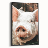 Farmhouse Wall Art - Playful Pig Close-Up with Rustic Farmhouse Charm
