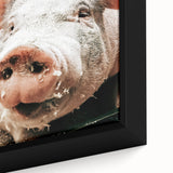 Farmhouse Wall Art - Playful Pig Close-Up with Rustic Farmhouse Charm