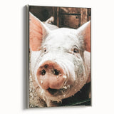 Farmhouse Wall Art - Playful Pig Close-Up with Rustic Farmhouse Charm