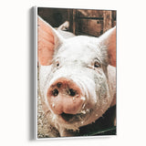 Farmhouse Wall Art - Playful Pig Close-Up with Rustic Farmhouse Charm