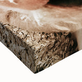 Farmhouse Wall Art - Playful Pig Close-Up with Rustic Farmhouse Charm