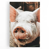 Farmhouse Wall Art - Playful Pig Close-Up with Rustic Farmhouse Charm