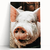 Farmhouse Wall Art - Playful Pig Close-Up with Rustic Farmhouse Charm