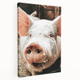 Farmhouse Wall Art - Playful Pig Close-Up with Rustic Farmhouse Charm