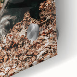 Farmhouse Wall Art - Pig Foraging in Autumn Leaves with Rustic Charm