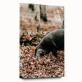 Farmhouse Wall Art - Pig Foraging in Autumn Leaves with Rustic Charm