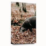 Farmhouse Wall Art - Pig Foraging in Autumn Leaves with Rustic Charm