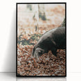 Farmhouse Wall Art - Pig Foraging in Autumn Leaves with Rustic Charm