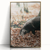 Farmhouse Wall Art - Pig Foraging in Autumn Leaves with Rustic Charm