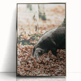 Farmhouse Wall Art - Pig Foraging in Autumn Leaves with Rustic Charm