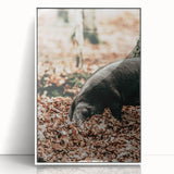 Farmhouse Wall Art - Pig Foraging in Autumn Leaves with Rustic Charm