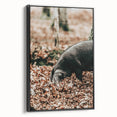 Farmhouse Wall Art - Pig Foraging in Autumn Leaves with Rustic Charm