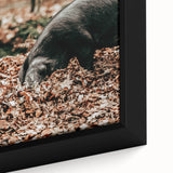 Farmhouse Wall Art - Pig Foraging in Autumn Leaves with Rustic Charm